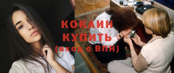 индика Новозыбков
