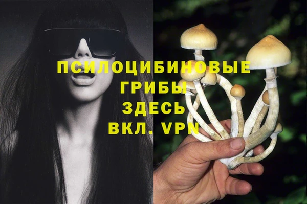 мет Аркадак