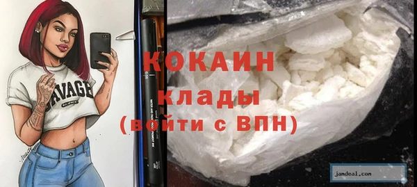PSILOCYBIN Балабаново